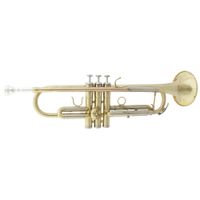 Trompete Dolphin 4350