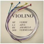 Violino