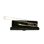 TROMBONE-TENOR-DOLPHIN-FASIB
