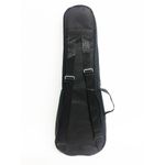 avs-ukulele-concert-verso