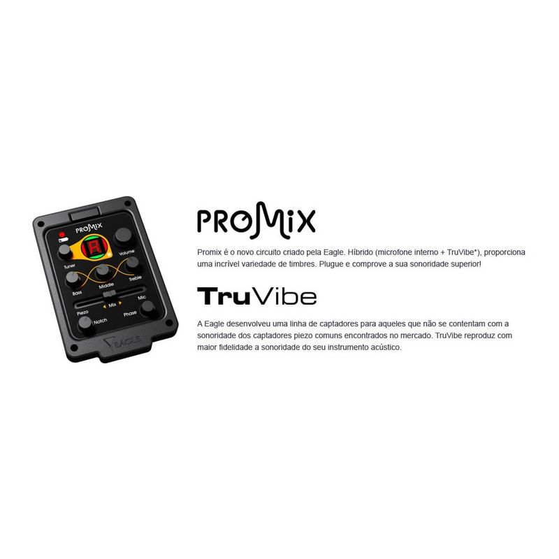 Eagle-CH-888E12NT-Det-Circuito-Promix