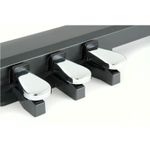 17417-pedal-triplo-casio-sp-33-3