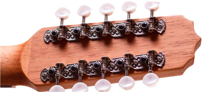 Viola-Rozoni-RV151ACNF