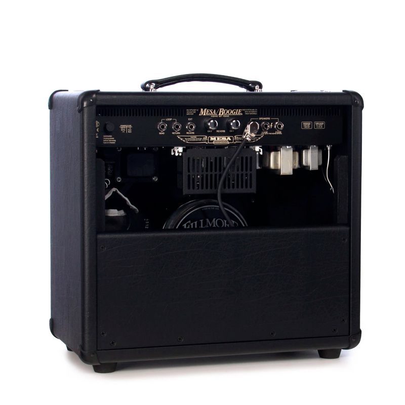 Combo-Mesa-Boogie-Dual-Rictifire-Recto-Verb25