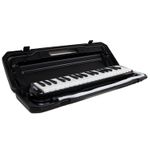 ESCALETA-DOLPHIN-32-TECLAS-COM-ESTOJO-PRETO6408