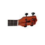 UKULELE-TAGIMA-43-K-CONCERT-NS-SERIEHAWAII