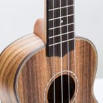 KALANI-KAL-330S-K