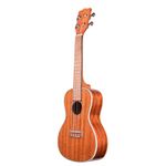 Ukulele-Kala-KA-CG-Concert