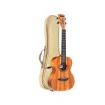 UKULELE-AKAHAI-AUSTICO-AK-27-NA-MOHOGANY