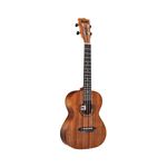 UKULELE-AKAHAI-ACUSTICO-AK-27-TO-MOHOGANY