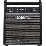 ROLAND-PM-100