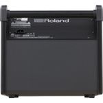 ROLANDPM100