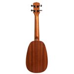 ukulele_malibu_abacaxi_concert_sapele_23sp_23_6_20200413212040
