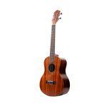 UKULELE-SEIZI-BALI-CONCERT-ACUSTICO-TOBACCO