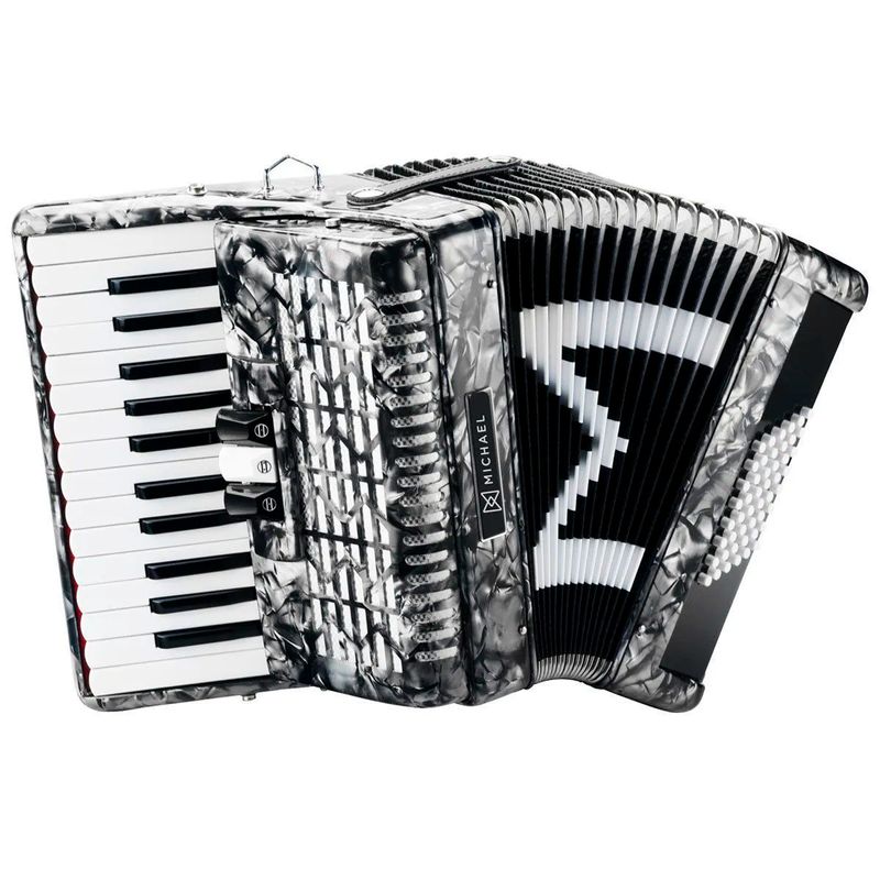 ACORDEON-MICHAEL-48BX-ACM4803-PRETA-RAJADO