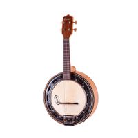 Banjo Rozini Rj14Elf Estudante Eletroacústico Fosco