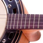 BANJO-ROZINI-RJ14ELF-ESTUDANTE-ELETROACUSTICO-FOSCO-1