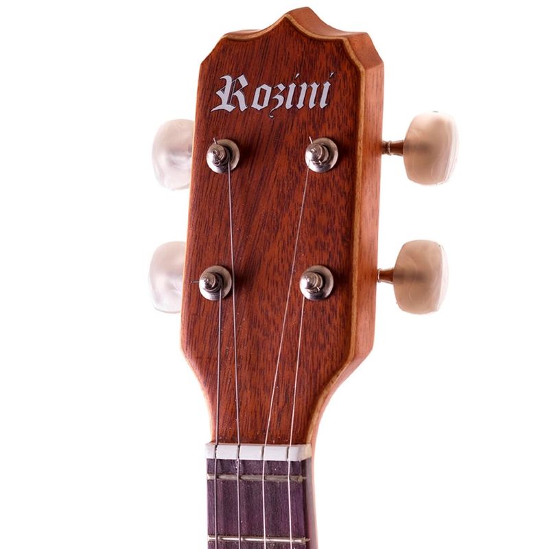 BANJO-ROZINI-RJ14ELF-ESTUDANTE-ELETROACUSTICO-FOSCO-2