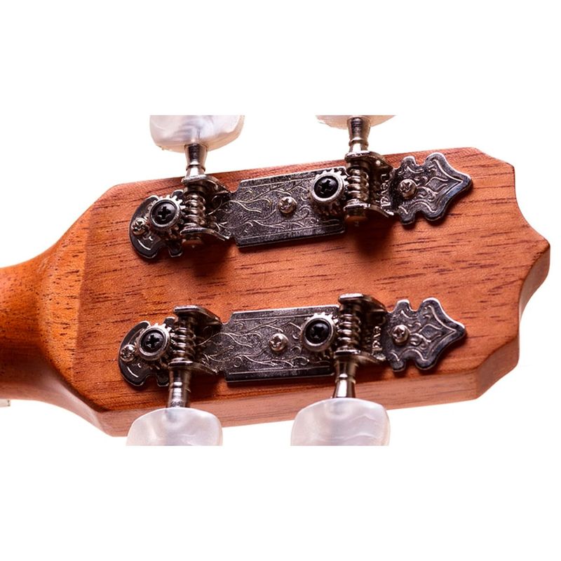BANJO-ROZINI-RJ14ELF-ESTUDANTE-ELETROACUSTICO-FOSCO-3