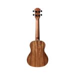 UKULELE-SEIZI-BALI-PINEAPPLE-CONCERT-ELETRICO-SAPELE-22
