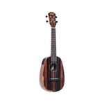UKULELE-SEIZI-CONCERT-BORA-BORA-PLUS-PINEAPPLE-ELETROACUSTICO-EBONY-COM-BAG-2