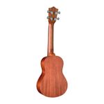 UKULELE-SHELBY-BY-EAGLE-SU-23M-CONCERT-2