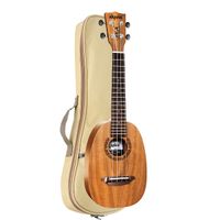 Ukulele Akahai Concert Acústico Akp-24 Na Pineapple Com Bag