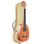 UKULELE-AKAHAI-CONCERT-ACUSTICO-AKP-24LN-NA-PINEAPPE-COM-BAG