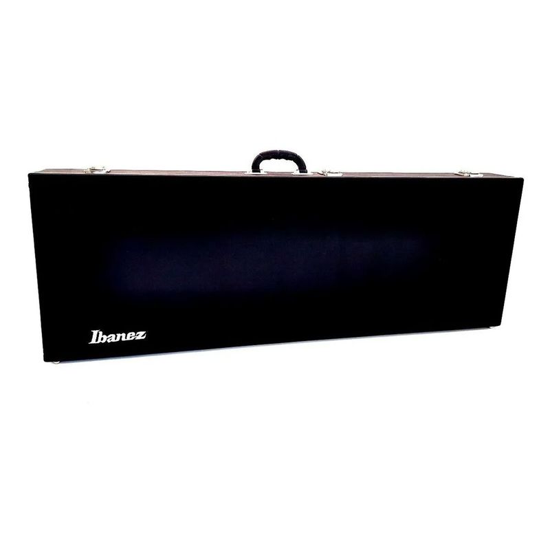 Ibanez-MTM-100-case