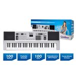 TECLADO-WALDMAN-STK-54-54-TECLAS-2