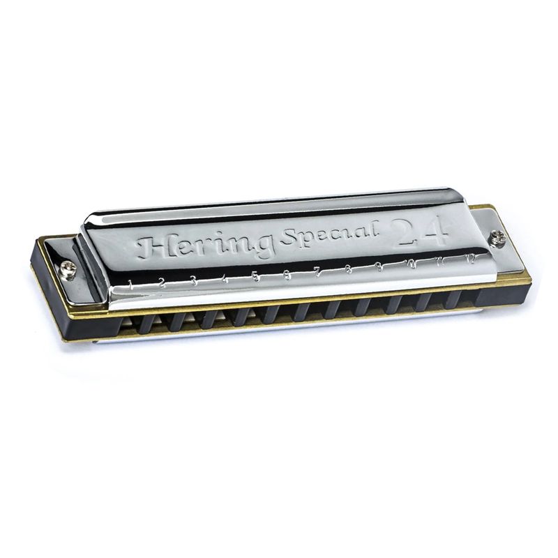 GAITA-HERING-DIATONICA-SPECIAL-24-C-DO-8124C-24-VOZES