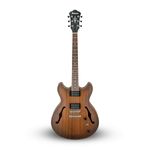 IBANEZ-AS53-TF