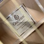 GIANNINI-ELETROACuSTICO-PERFORMANCE