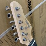 Giannini-G-100-Black-com-escudo-White-Showroom-4