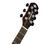 STRINBERG-SD25C-MGS-FOLK-FOSCO-1