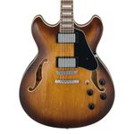 IBANEZ-AS73-TBC-1