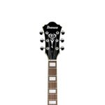 IBANEZ-GB-10-EM-JBB-3