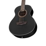 Washburn-AGM5BMK-2