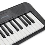 CASIO-CT-S300C2