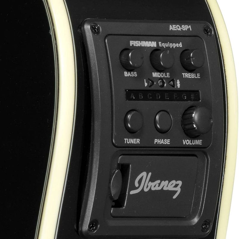 IBANEZ-AEWC11-TCB