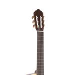 CORT-AC120CE-OP-22