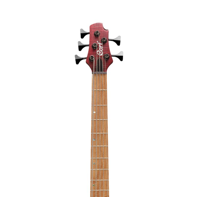 CORT-B5-PLUS-OPBR-1