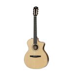 TAYLOR-214ce-N-BAG-1