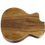 TAYLOR-214ce-N-BAG-4