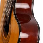 IBANEZ-GA5TCE-AM