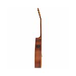 SEIZI-NEO-TOKYO-MIRAI-CUTAWAY-FOLK-MAHOGANY-SATIN-okokokok