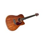 SEIZI-NEO-TOKYO-MIRAI-CUTAWAY-FOLK-MAHOGANY-SATIN-111