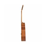SEIZI-NEO-TOKYO-MIRAI-CUTAWAY-FOLK-MAHOGANY-SATIN-4