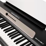 KURZWEIL-MARK-PRO-1-okokok