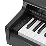 BR-YAMAHA-YDP-164-B-1